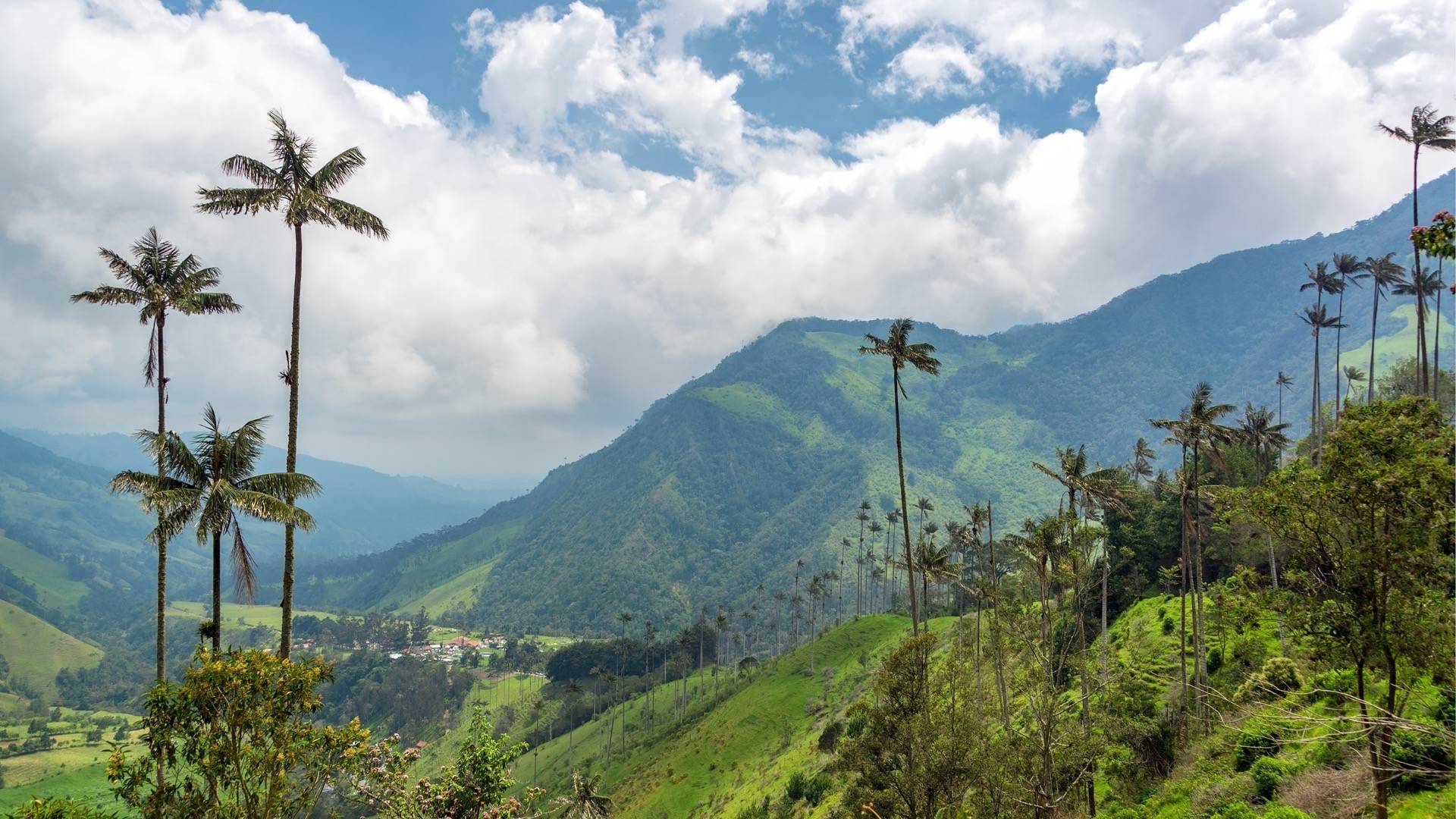 Montagnes colombiennes